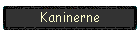 Kaninerne