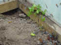 DSC07244.jpg (111913 byte)