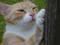 DSC02475.jpg (26176 byte)