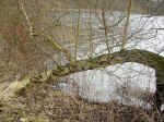 DSC03926.jpg (120079 bytes)