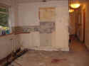 DSC07109.jpg (58505 byte)