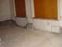 DSC07121.jpg (53099 byte)